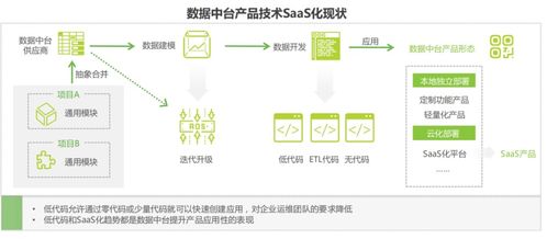 數字化轉型中的數據中臺 知識體系、應用場景與技術服務